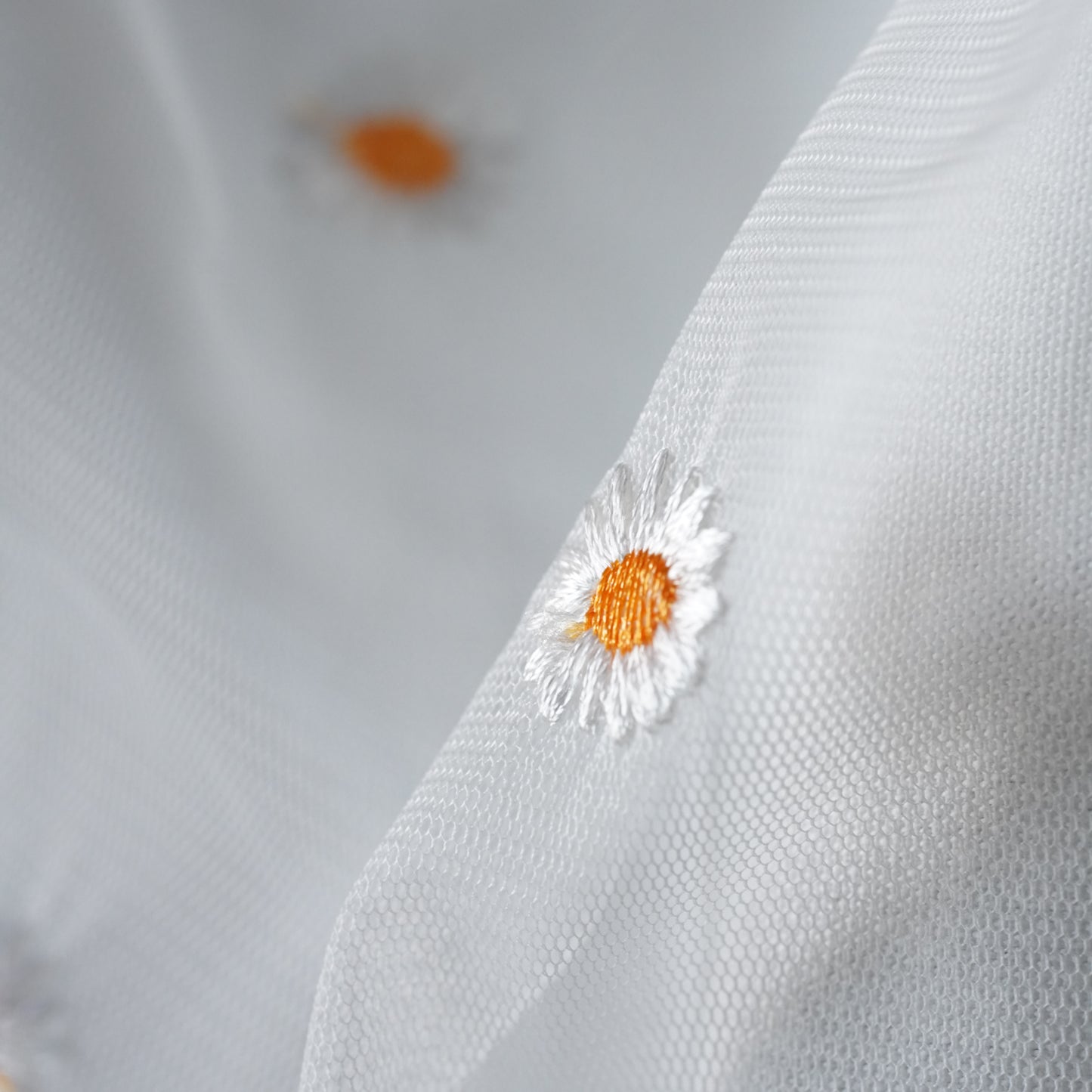 توت باك وردة الربيع ابيض